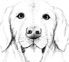 Happy Paws Logo FB